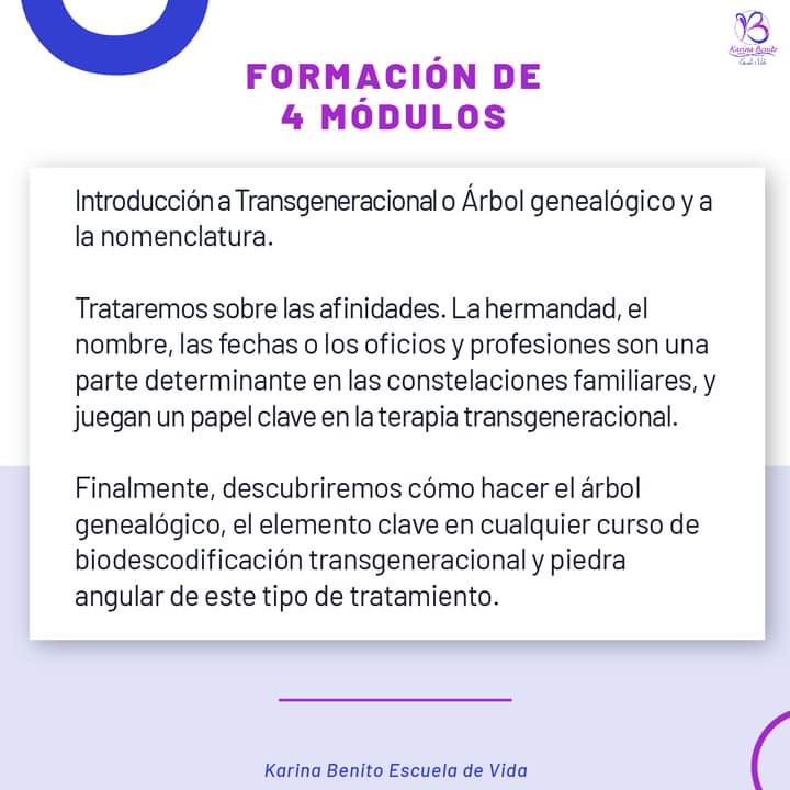 Formación Transgeneracional (abril 2023) | Escuela de Vida